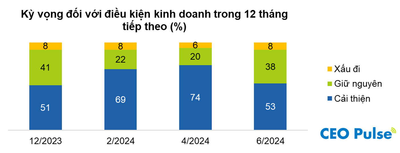 Vietnam CEO Business Confidence 2024