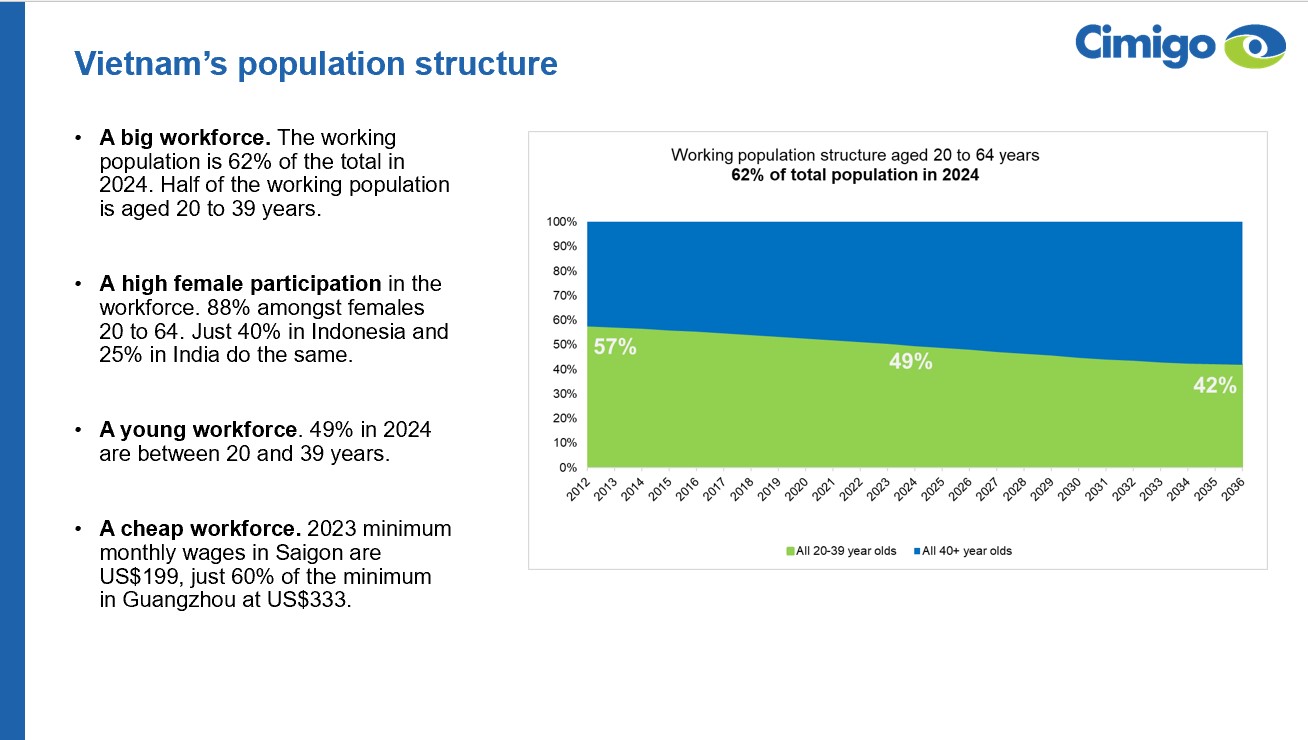 Vietnam's working population 2024