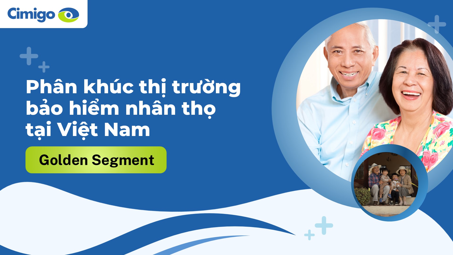 Segmenting Vietnam’s life insurance market__Golden Segment (VIE)