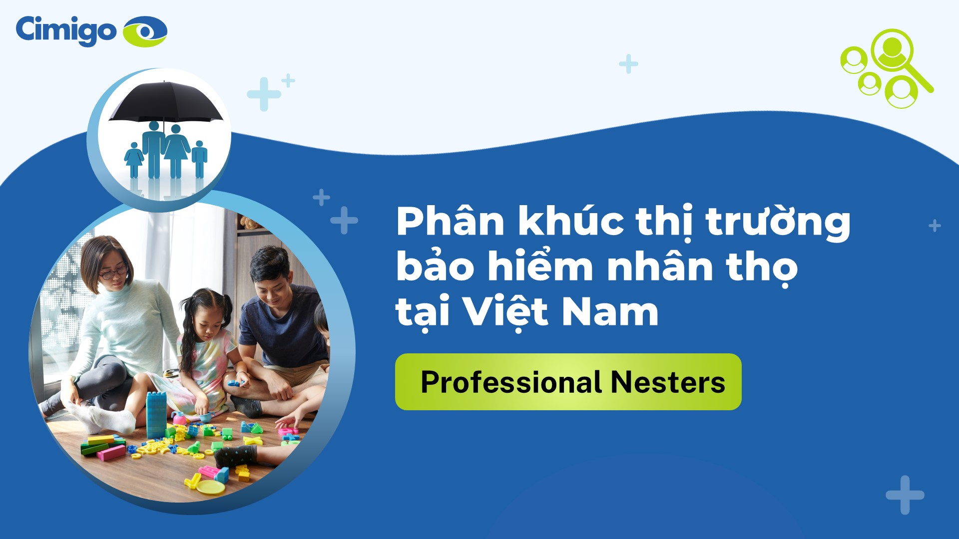 Segmenting Vietnam’s life insurance market__Professional Nesters (VIE)