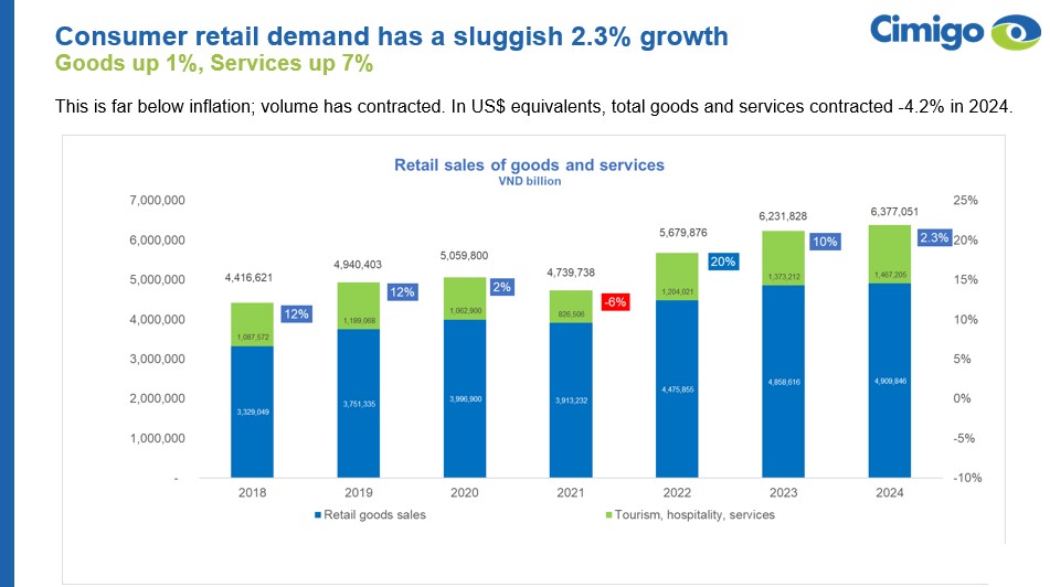 Vietnam 2024 retail sales